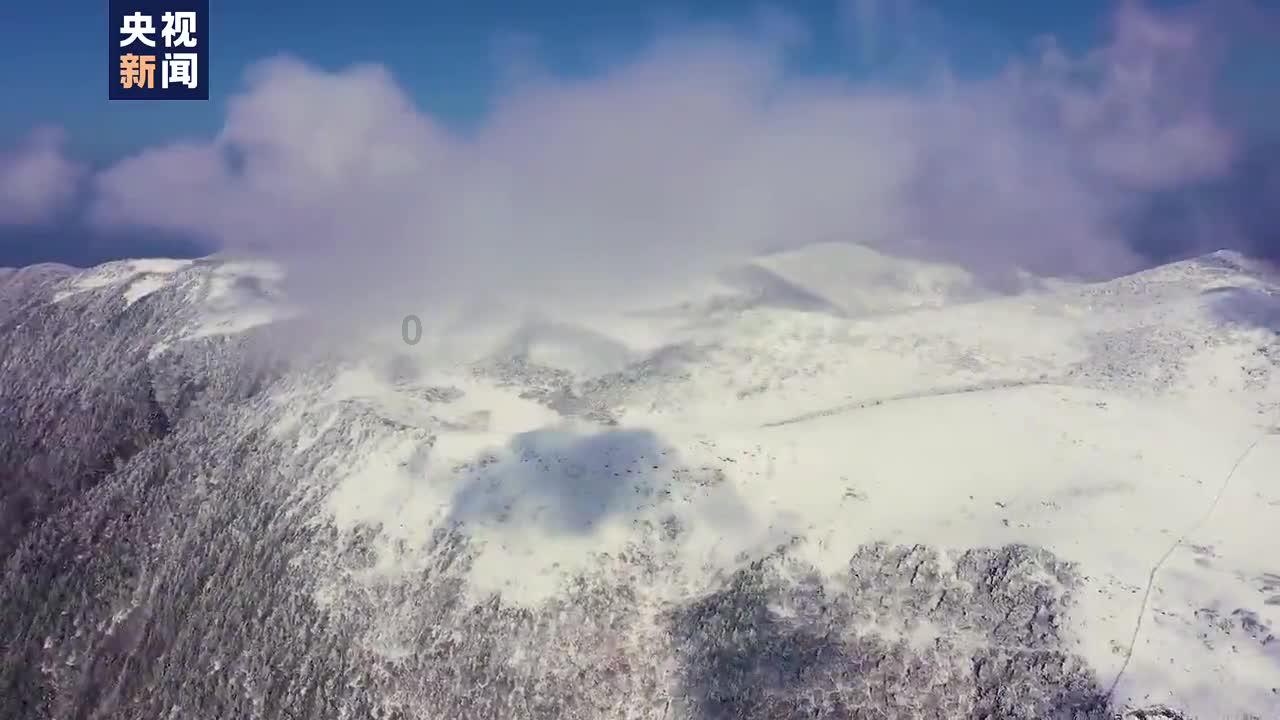 格斗巅峰大作战